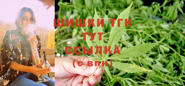 mdpv Богородицк