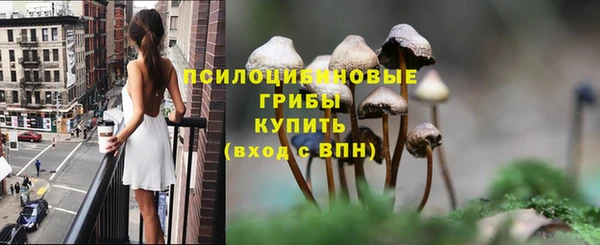 mdpv Богородицк